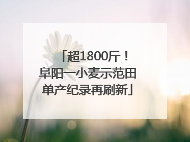 超1800斤！阜阳一小麦示范田单产纪录再刷新