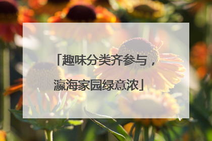 趣味分类齐参与，瀛海家园绿意浓