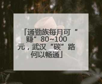 通勤族每月可“赚”80~100元，武汉“碳”路何以畅通