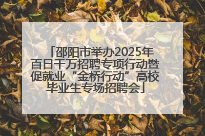 邵阳市举办2025年百日千万招聘专项行动暨促就业“金桥行动”高校毕业生专场招聘会