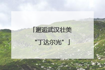 邂逅武汉壮美“丁达尔光”