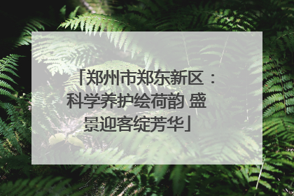 郑州市郑东新区：科学养护绘荷韵 盛景迎客绽芳华