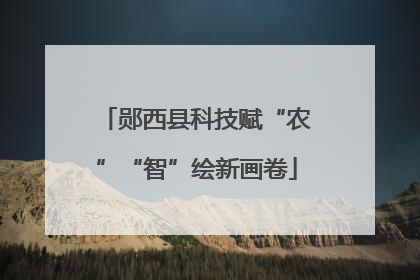 郧西县科技赋“农”“智”绘新画卷