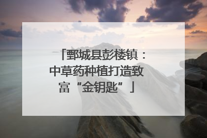 鄄城县彭楼镇：中草药种植打造致富“金钥匙”