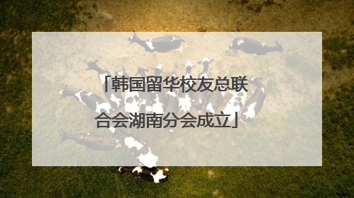韩国留华校友总联合会湖南分会成立