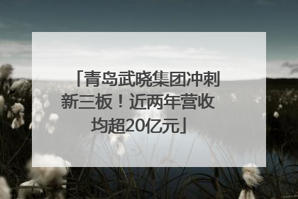 青岛武晓集团冲刺新三板！近两年营收均超20亿元