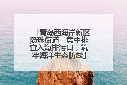 青岛西海岸新区隐珠街道：集中排查入海排污口，筑牢海洋生态防线