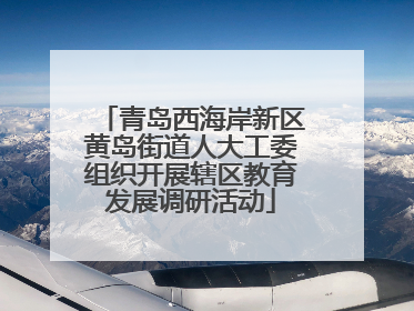 青岛西海岸新区黄岛街道人大工委组织开展辖区教育发展调研活动