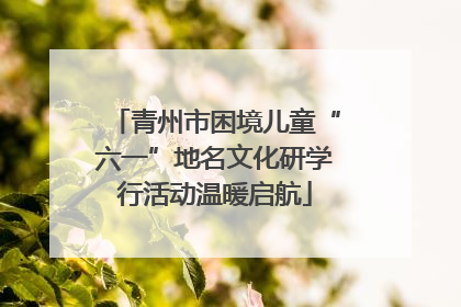 青州市困境儿童“六一”地名文化研学行活动温暖启航