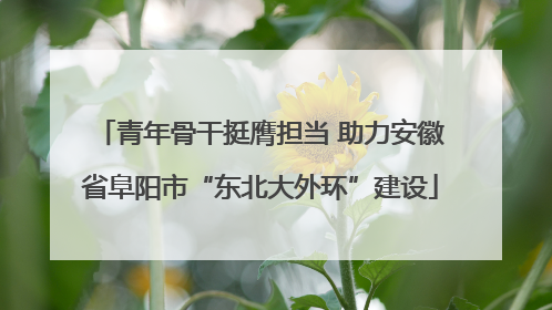 青年骨干挺膺担当 助力安徽省阜阳市“东北大外环”建设