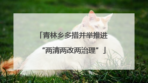 青林乡多措并举推进“两清两改两治理”