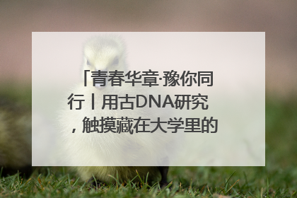 青春华章·豫你同行丨用古DNA研究，触摸藏在大学里的“上下五千年”