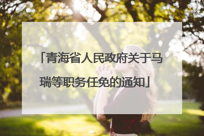 青海省人民政府关于马瑞等职务任免的通知