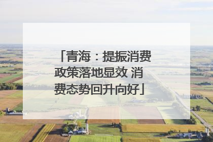 青海：提振消费政策落地显效 消费态势回升向好