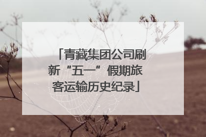 青藏集团公司刷新“五一”假期旅客运输历史纪录