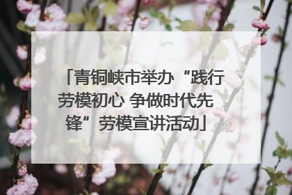 青铜峡市举办“践行劳模初心 争做时代先锋”劳模宣讲活动