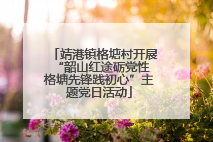 靖港镇格塘村开展“韶山红途砺党性 格塘先锋践初心”主题党日活动
