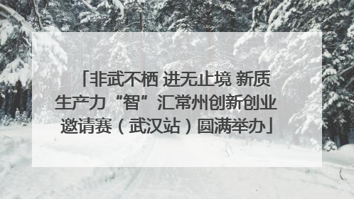 非武不栖 进无止境 新质生产力“智”汇常州创新创业邀请赛（武汉站）圆满举办