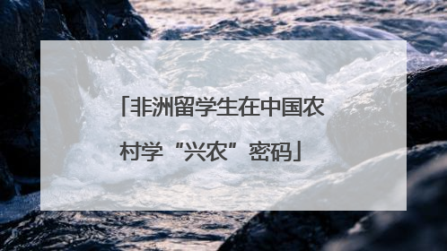 非洲留学生在中国农村学“兴农”密码