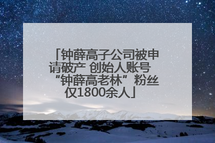 钟薛高子公司被申请破产 创始人账号“钟薛高老林”粉丝仅1800余人