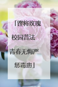 铿将玫瑰校园普法 青春无悔严惩毒患