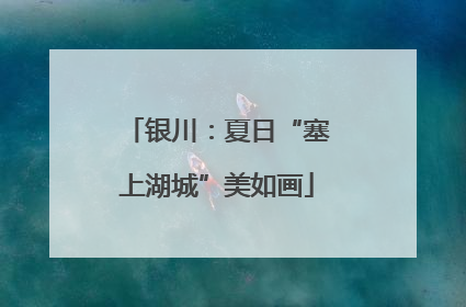 银川：夏日“塞上湖城”美如画