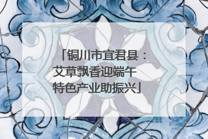 铜川市宜君县：艾草飘香迎端午 特色产业助振兴