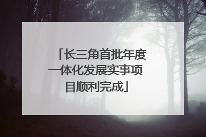 长三角首批年度一体化发展实事项目顺利完成