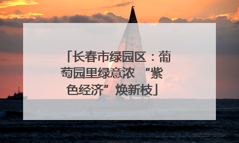 长春市绿园区：葡萄园里绿意浓 “紫色经济”焕新枝