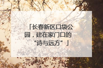 长春新区口袋公园，建在家门口的“诗与远方”