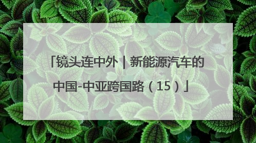 镜头连中外｜新能源汽车的中国-中亚跨国路（15）
