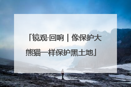 镜观·回响｜像保护大熊猫一样保护黑土地
