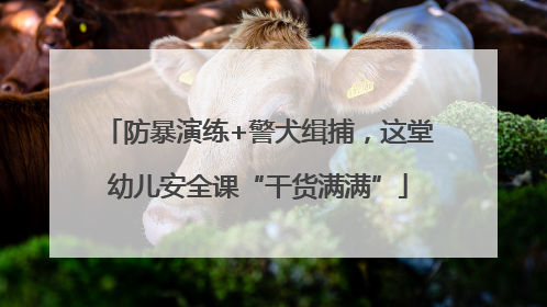 防暴演练+警犬缉捕，这堂幼儿安全课“干货满满”