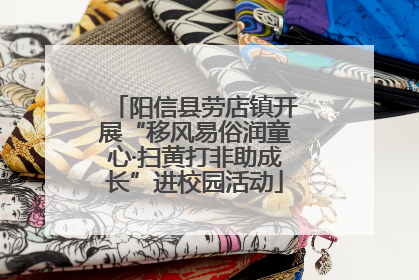 阳信县劳店镇开展“移风易俗润童心·扫黄打非助成长”进校园活动