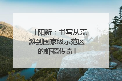 阳新：书写从荒滩到国家级示范区的虾稻传奇