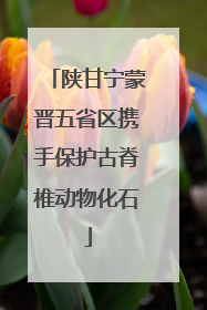 陕甘宁蒙晋五省区携手保护古脊椎动物化石