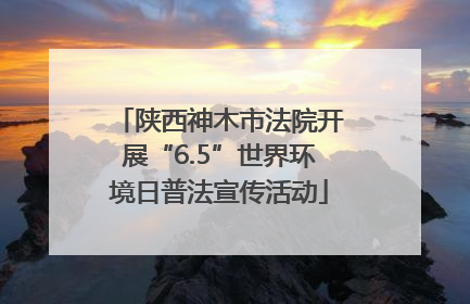 陕西神木市法院开展“6.5”世界环境日普法宣传活动