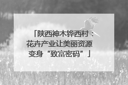 陕西神木铧西村：花卉产业让美丽资源变身“致富密码”