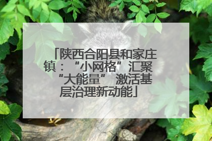 陕西合阳县和家庄镇：“小网格”汇聚“大能量” 激活基层治理新动能