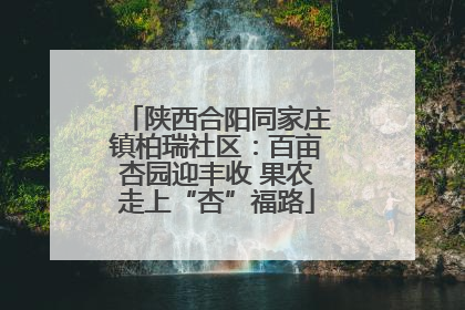 陕西合阳同家庄镇柏瑞社区：百亩杏园迎丰收 果农走上“杏”福路