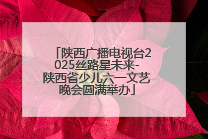 陕西广播电视台2025丝路星未来-陕西省少儿六一文艺晚会圆满举办