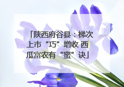 陕西府谷县：梯次上市“巧”增收 西瓜富农有“蜜”诀