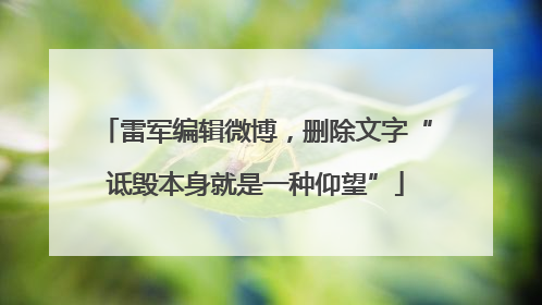 雷军编辑微博，删除文字“诋毁本身就是一种仰望”