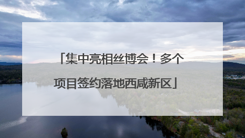 集中亮相丝博会！多个项目签约落地西咸新区
