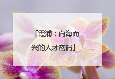 霞浦：向海而兴的人才密码