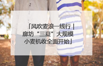 风吹麦浪一线行｜廊坊“三夏”大规模小麦机收全面开始