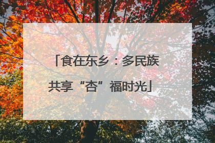 食在东乡：多民族共享“杏”福时光