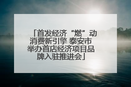 首发经济“燃”动消费新引擎 泰安市举办首店经济项目品牌入驻推进会