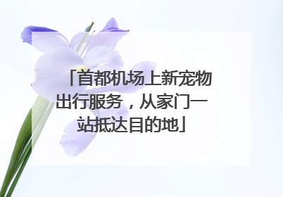 首都机场上新宠物出行服务，从家门一站抵达目的地
