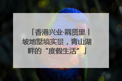 香港兴业·耦贤里丨坡地墅境实景，青山湖畔的“度假生活”